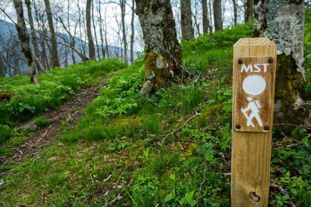 istock Mountains to Sea Trail 958150372