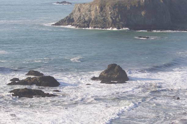 istock Goat Rock Beach is located between Goat Rock Point and the Russian River 958150984
