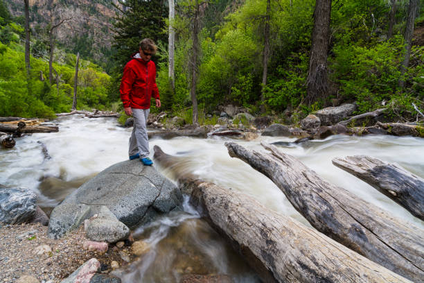 istock Man Hiking Along Scenic Mountain Creek 958151162