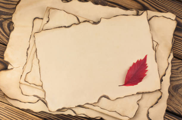 istock Heap of old burnt blank paper with one red leaf on brown weathered rustic table 958153592