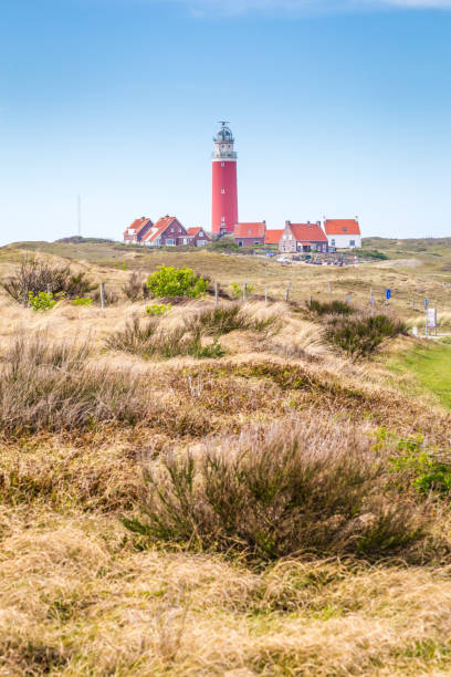 panorama mit leuchtturm texel niederlande - sea sign direction beacon stock-fotos und bilder