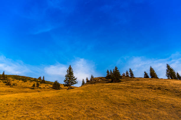 istock Amazing view in Bucegi Mountains,Romania 958162856