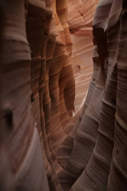 istock Zebra Slot Canyon Utah, USA 958166418