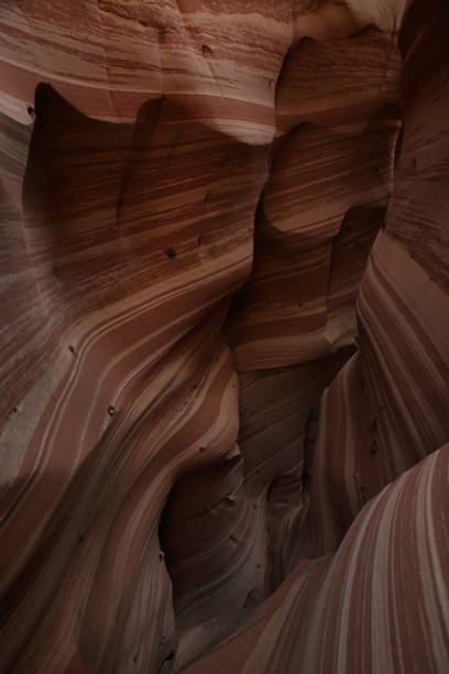 istock Zebra Slot Canyon Utah, USA 958169886