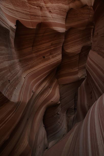 istock Zebra Slot Canyon Utah, USA 958169906