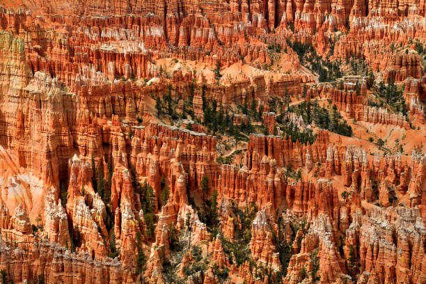 istock Hoodoos Upon Hoodoos 958170084