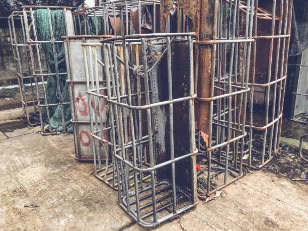 istock Pig is in old and dirty iron stalls. 958172626
