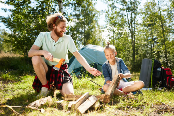 istock Give me that wood 958177074