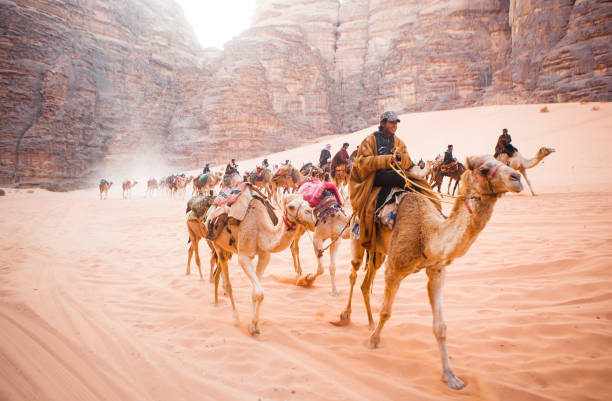 die beduinen mit den kamelen in wadi rum, jordanien. - jordan camel wadi rum arabia stock-fotos und bilder