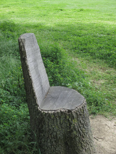 istock Armchair carved in a tree trunk 958177612