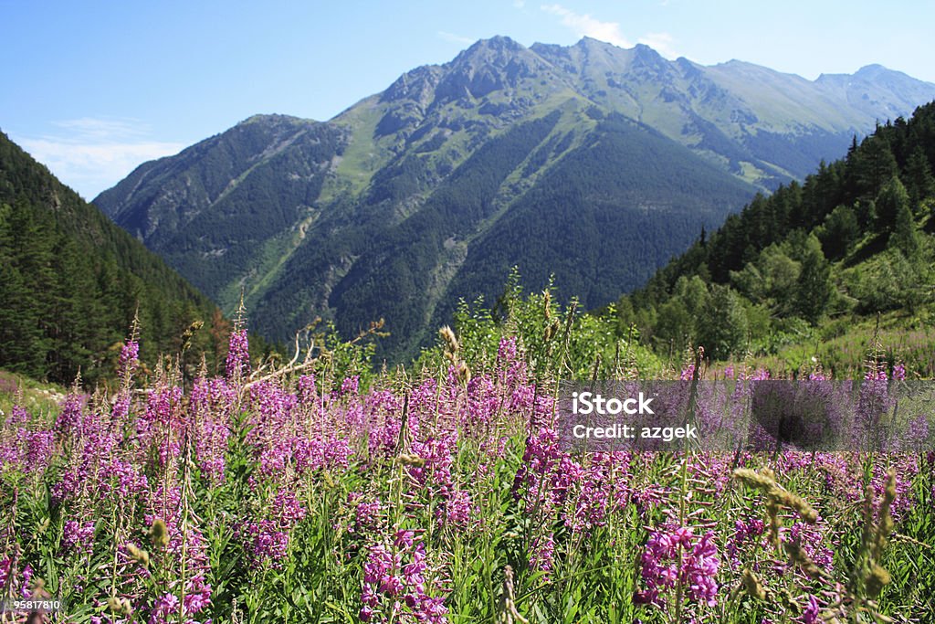 Paesaggio di montagna - Foto stock royalty-free di Albero