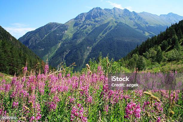 Foto de Paisagem De Montanha e mais fotos de stock de Alpes europeus - Alpes europeus, Azul, Cabeça da flor