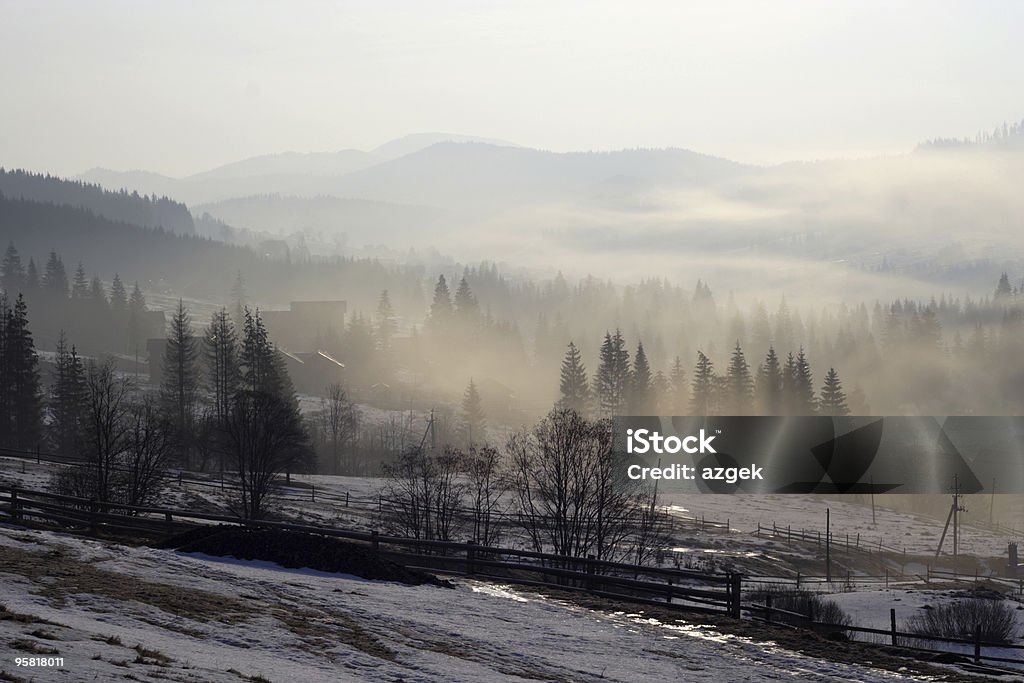 Mattina in montagna nebbioso - Foto stock royalty-free di Albero