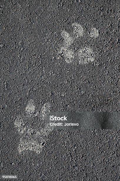 Pawprints - Fotografias de stock e mais imagens de Alfalto - Alfalto, Cão, Dedo da pata