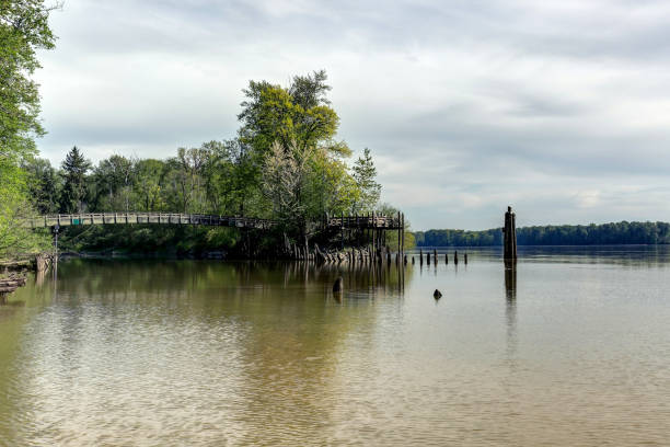 istock estuary where Kanaka Creek meets Fraser River at springtime 958183706