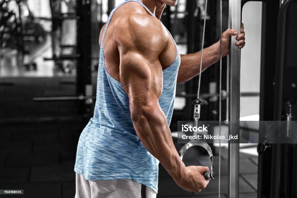 Muscular man working out in gym doing exercises at triceps, strong male Body Building Stock Photo