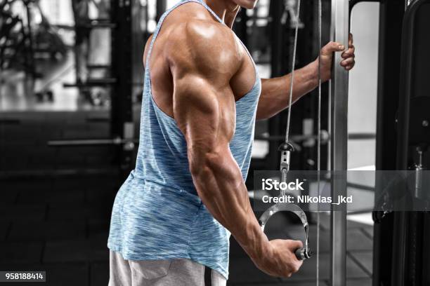 Muscular Man Working Out In Gym Doing Exercises At Triceps Strong Male Stock Photo - Download Image Now