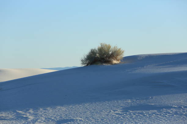istock White Sands National Monument New Mexico USA 958188442