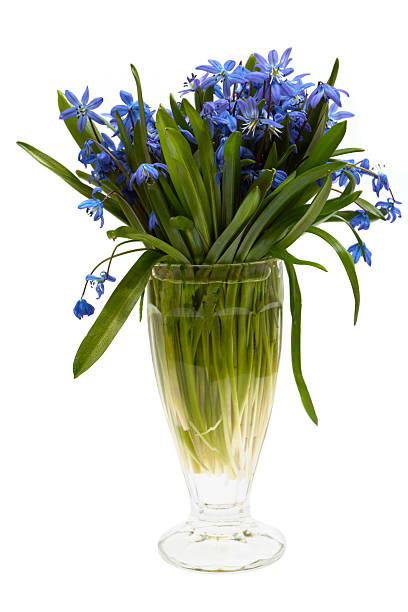 A nice illustration or background that tells of spring coming