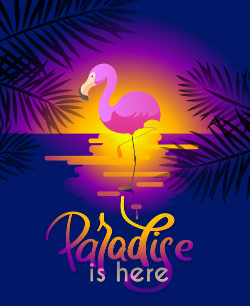 summer background with flamingo for your design vector art illustration