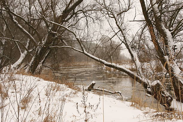 River in the Harsh  Winter . stock photo