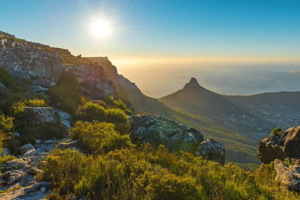 istock Sunset in Cape Town, South Africa 958201820