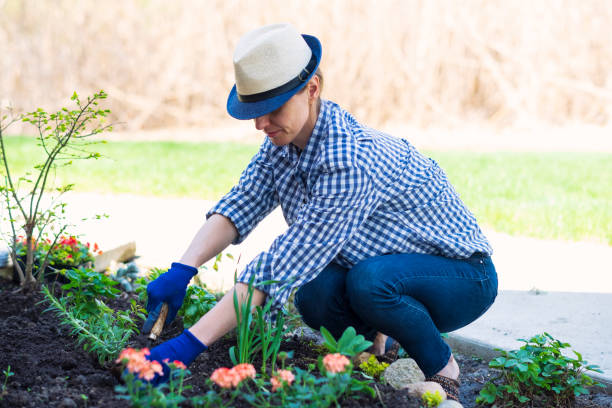 istock Planting herbs in garden 958201924