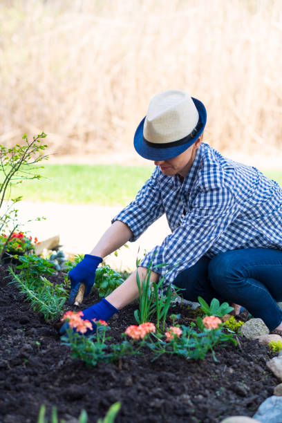 istock Planting herbs in garden 958201926
