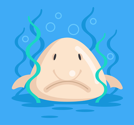 Sad Unhappy Cute Blob Fish Character Under Water Sea Bottom Underwater  Blobfish Life Vector Flat Cartoon Isolated Graphic Design Illustration  Stock Illustration - Download Image Now - iStock