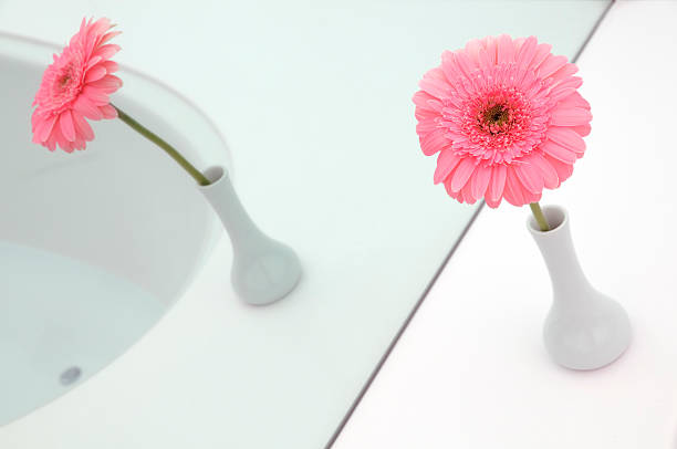 casa de banho - single flower tranquil scene mirror flower imagens e fotografias de stock