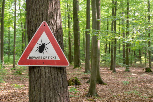 tick insect warning sign tick insect warning sign in forest lyme disease photos stock pictures, royalty-free photos & images