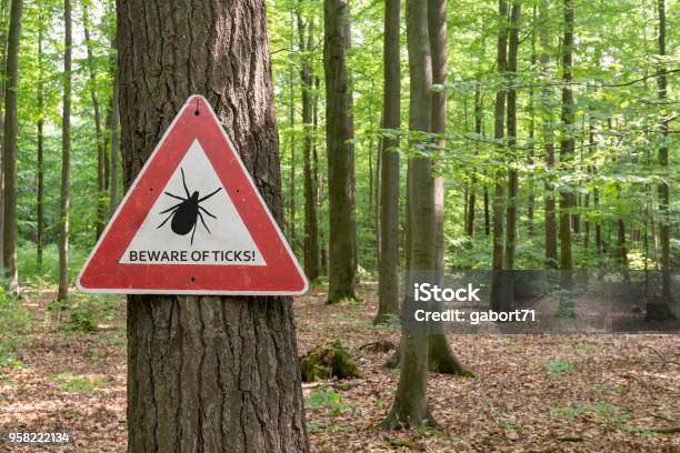 Tick Insect Warning Sign Stock Photo - Download Image Now - Tick - Animal, Lyme Disease, Insect