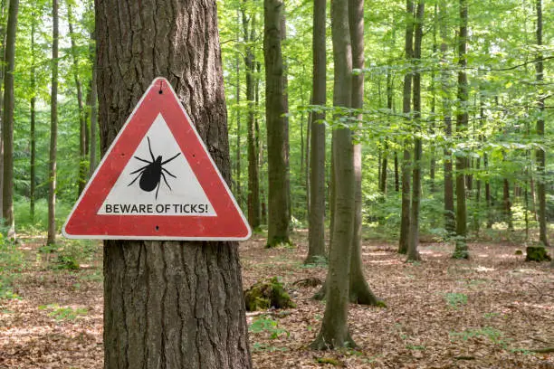 Photo of tick insect warning sign