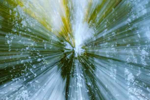 Abstract green background of tree in countryside outdoors. Zoom speed blured motion. Created by zooming out.
