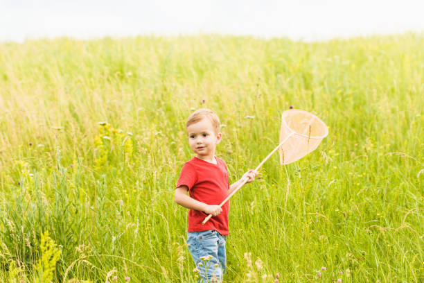 istock Little boy with a butterfly net on a summer meadow 958240656