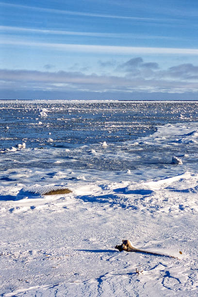 snowy canadian arctic landscape - arctic canada landscape manitoba imagens e fotografias de stock