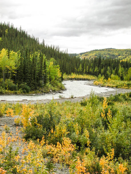 istock Alaskan Autumn Landscape with Clouds in Background 958248878