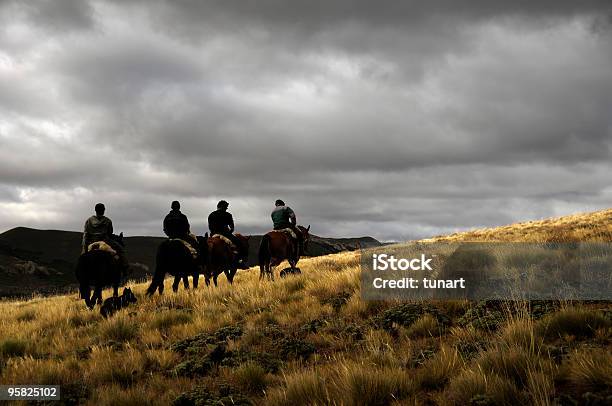 Верховая Езда В Патагонии — стоковые фотографии и другие картинки Аргентина - Аргентина, Степь, Барилоче