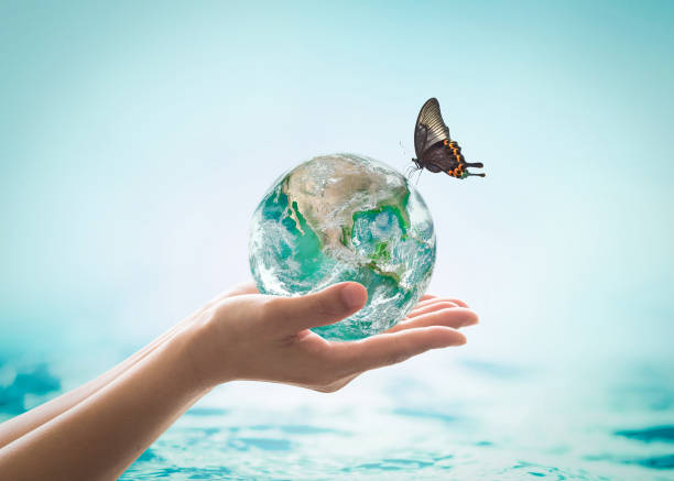 istock World ocean day,, saving water campaign, sustainable ecological ecosystems concept with green earth on woman's hands on blue sea background : Element of this image furnished by NASA 958260232