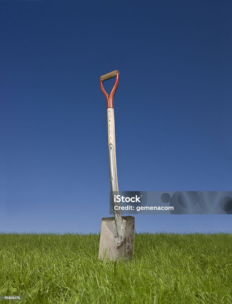 Pelle dans l'herbe - Photo de Bleu libre de droits