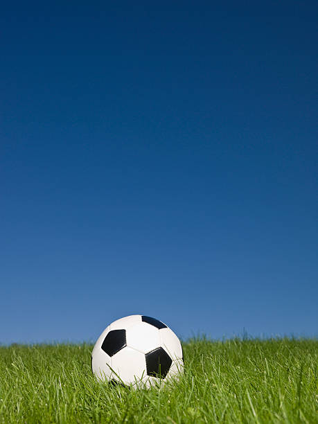 3d close-up rendering of a football on green grass against blue sky with hot air balloon and bird in it. Sports and games. Sporting goods. Active lifestyle.
