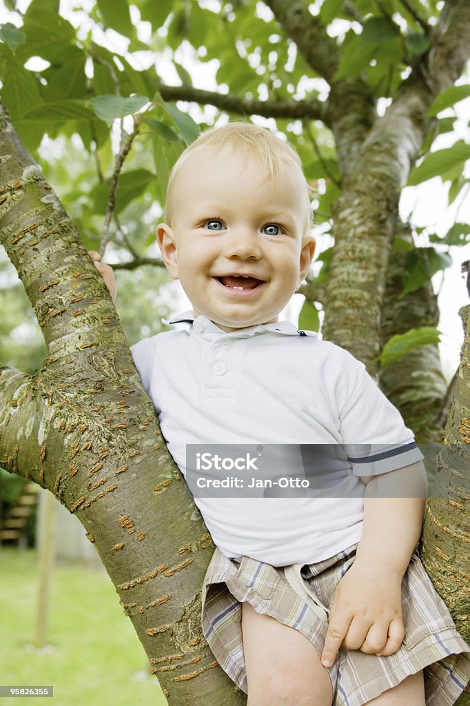 Kind auf Baum - Lizenzfrei 12-23 Monate Stock-Foto