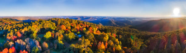 istock D BM WIlson autumn wide sun 958263838