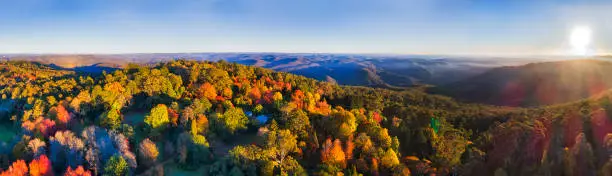 Wide aerial panorama of Mount Wilson town in Blue mountains during hights of autumn season during bright colourful tree leaves colours.