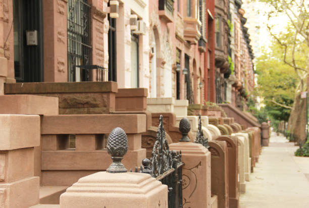 istock Row of NYC Brownstones 958272342