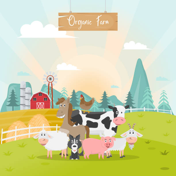 słodkie zwierzęta gospodarstwa kreskówki w ekologicznej wiejskiej farmie. - farm animal cartoon cow stock illustrations