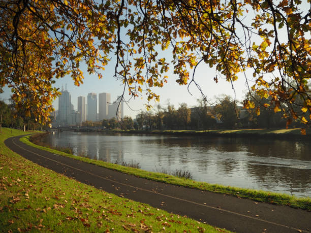 the city skyline along the river in autumn/fall - melbourne cityscape clear sky day imagens e fotografias de stock