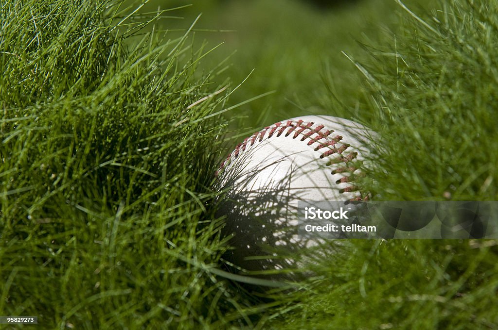 野球の紛失の芝生 - カラー画像のロイヤリティフリーストックフォト