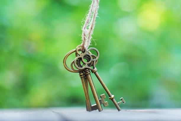 istock Vintage keys with smooth blur green garden background 958295626