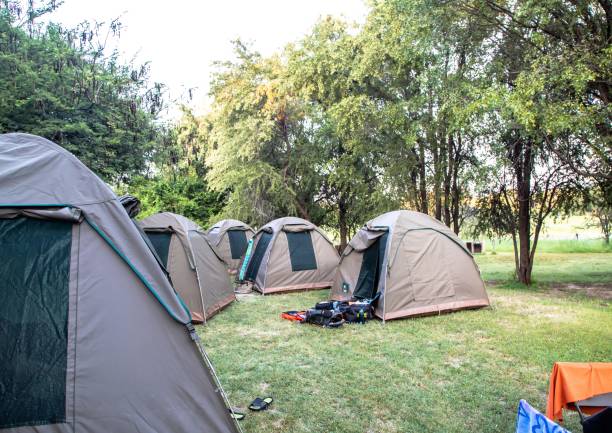 istock Tents at a camping site at the Okavango Delta in Botswana 958303618